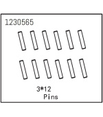 Pins 3*12 (12)