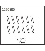 Pins 2.5*10 (12)