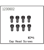 Cap Head Screw M2*6 (8)