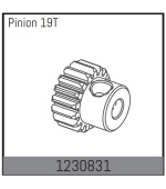 1230831 - Motor Pinion 19T