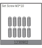 1230902 - Set Screw M3*10 (10)