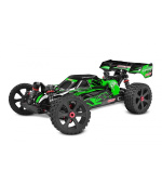 ASUGA XLR 6S - BUGGY 4WD - RTR - zelená