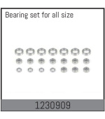 1230909 - Complete Bearing Set